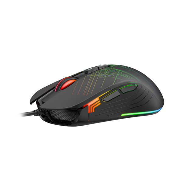 MOUSE HAVIT MS1019